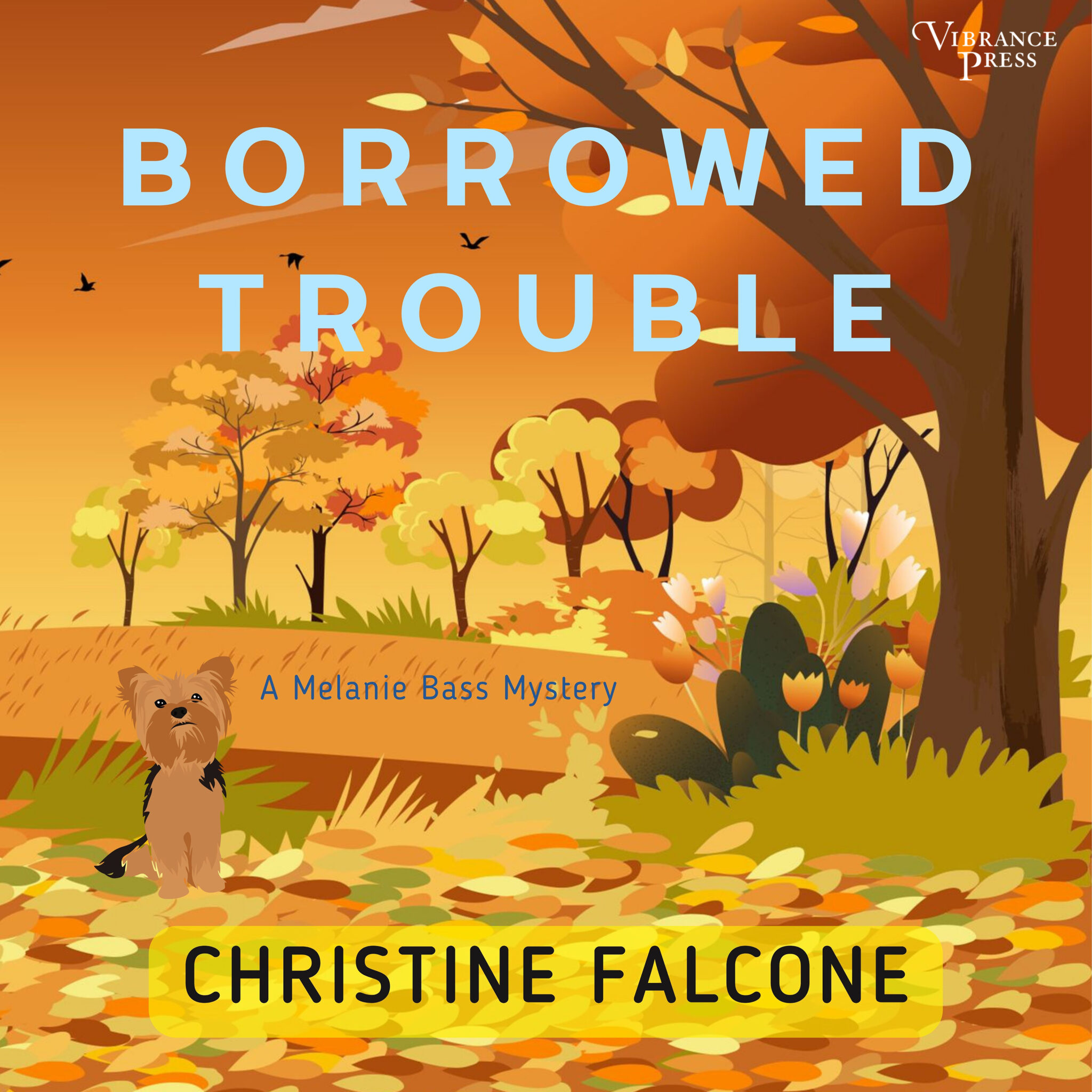 borrowed-trouble-melanie-bass-mystery-series-book-two-vibrance